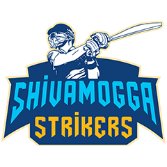 Team logo